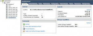 vSAN Datastore