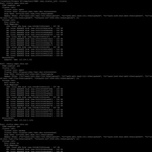 RVC vsan.cluster_info